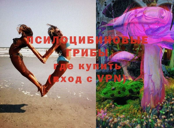 соль ск Киреевск